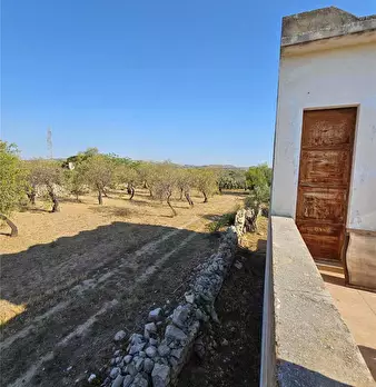 Foto annuncio 7