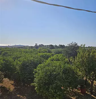 Foto annuncio 8