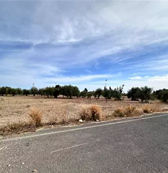 Foto annuncio 14