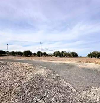Foto annuncio 7