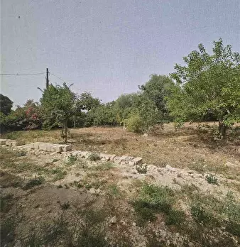 Foto annuncio 9