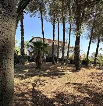 Foto annuncio 5