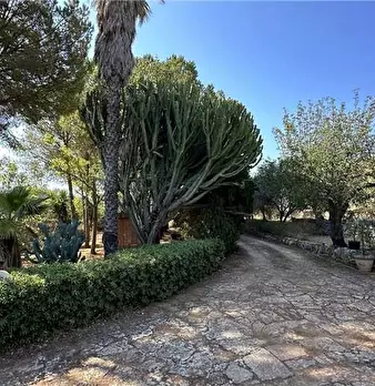 Foto annuncio 7