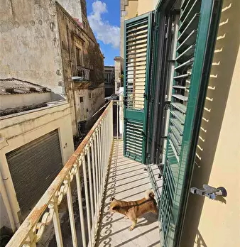 Foto annuncio 8
