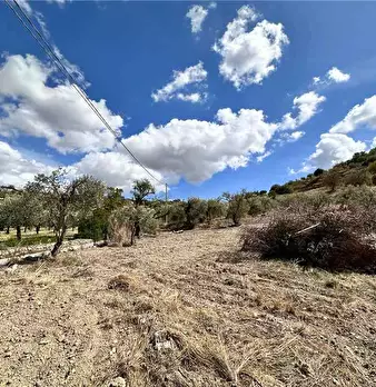 Foto annuncio 5
