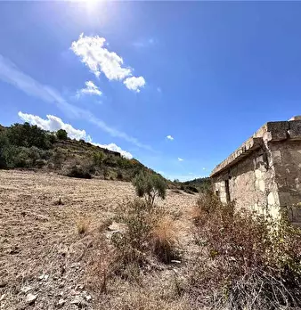 Foto annuncio 8