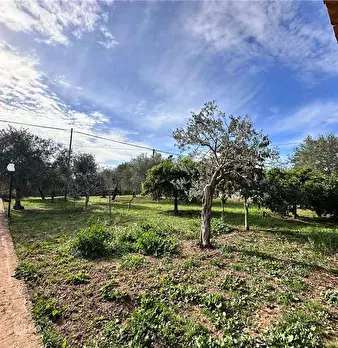 Foto annuncio 5