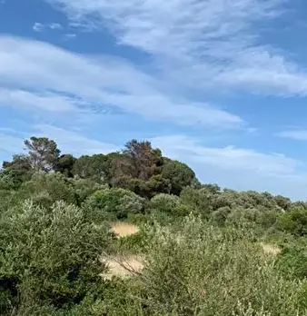 Foto annuncio 10