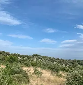 Foto annuncio 11