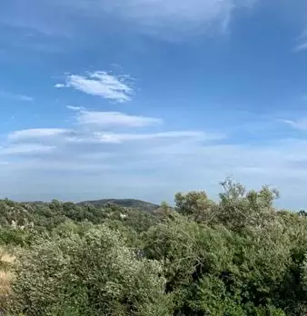 Foto annuncio 12