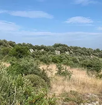Foto annuncio 3