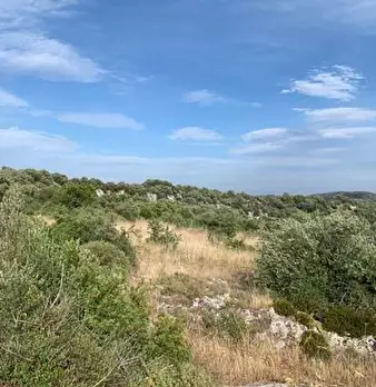 Foto annuncio 4