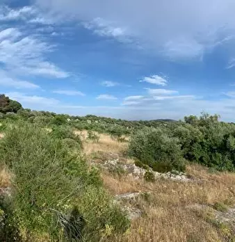 Foto annuncio 6