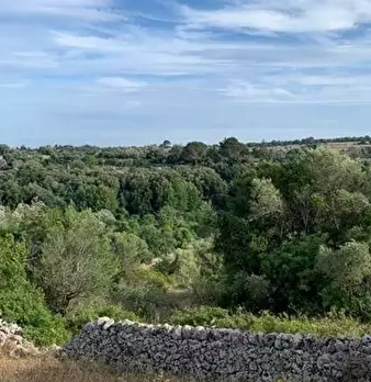 Foto annuncio 7