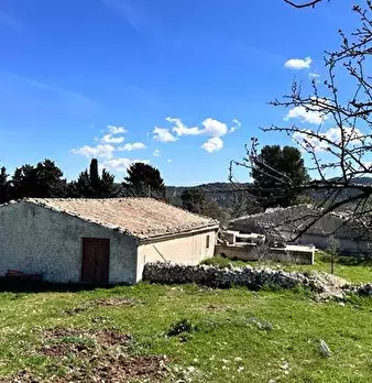 Foto annuncio 11