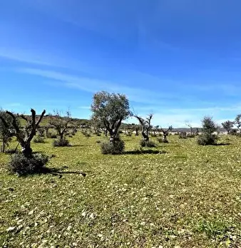 Foto annuncio 12