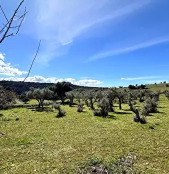 Foto annuncio 13