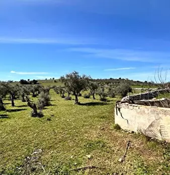 Foto annuncio 5