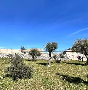 Foto annuncio 7