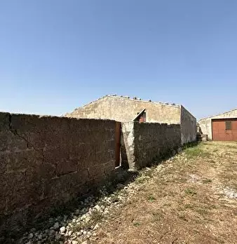 Foto annuncio 9