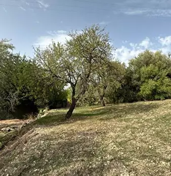 Foto annuncio 4