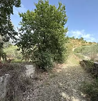 Foto annuncio 6