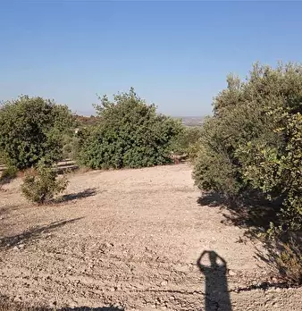Foto annuncio 4
