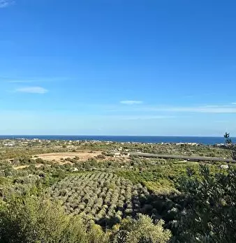 Foto annuncio 10