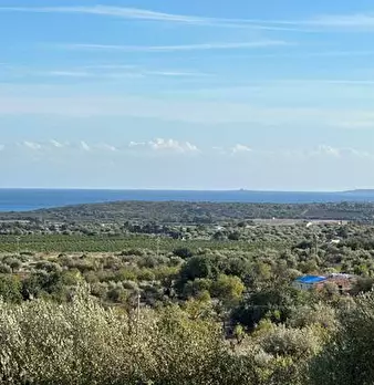 Foto annuncio 12