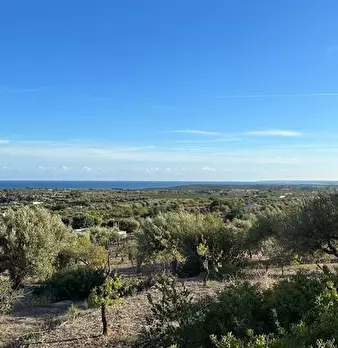 Foto annuncio 13