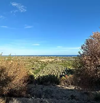 Foto annuncio 6