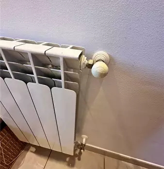 Foto annuncio 10