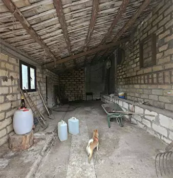 Foto annuncio 7