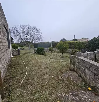 Foto annuncio 9