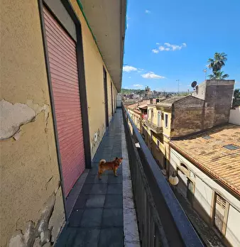 Foto annuncio 7