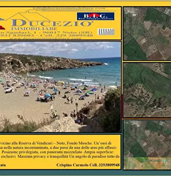 Foto annuncio 1