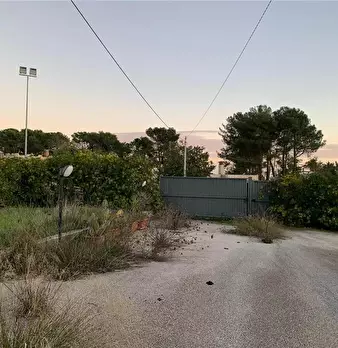 Foto annuncio 3