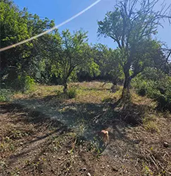 Foto annuncio 5