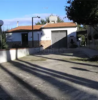 Foto annuncio 11