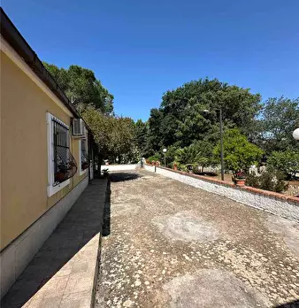 Foto annuncio 7