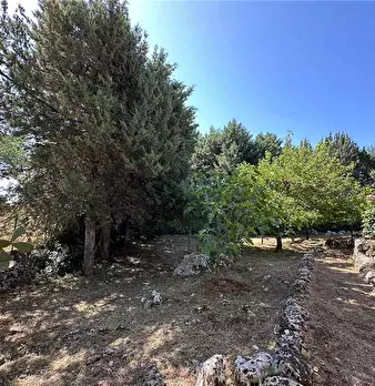 Foto annuncio 8