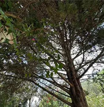 Foto annuncio 4