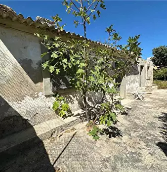 Foto annuncio 4