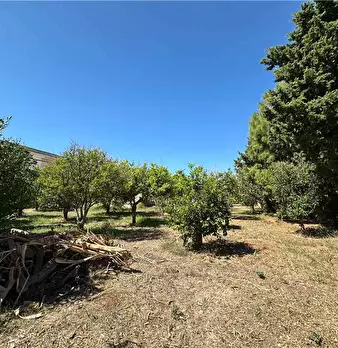 Foto annuncio 6