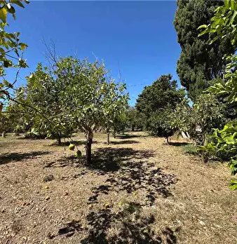 Foto annuncio 7