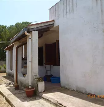 Foto annuncio 10