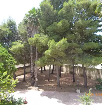 Foto annuncio 15