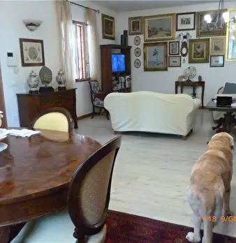 Foto annuncio 4