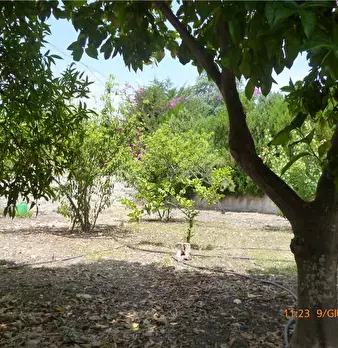 Foto annuncio 7