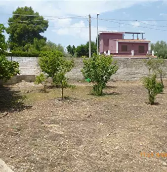 Foto annuncio 9